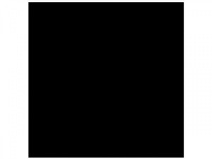 Płytka podłogowa Limone Canton Black 60x60 cm Poler