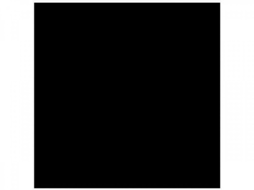 Płytka podłogowa Limone Canton Black 60x60 cm Poler