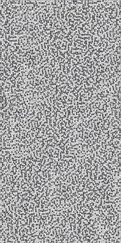 Płytka podłogowa Seminato di Tessere Calacatta Renoir 120x240 cm