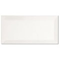 Płytka ścienna APE Biselado Blanco Brillo 10x20 cm