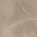 Płytka podłogowa AZTECA PASSION LUX 60 TAUPE 60X60 cm