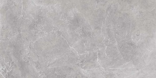 Płytka podłogowa Nowa Gala Silver Grey Poler SY 12 29,7x59,7 cm