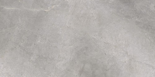 Płytka podłogowa Cerrad Masterstone Silver Poler 59.7x119.7