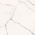Płytka podłogowa Imola Statuario Venato STA VP6 120 LP 120x120