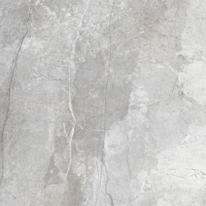 Płytka podłogowa OROBICO GREY 120X120 RECT. (2,88) POLISHED