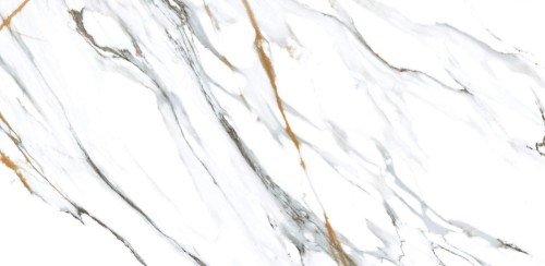 Płytka podłogowa GEOTILES OIKOS GOLD POLISHED 60x120