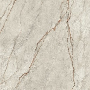 Płytka podłogowa Imola Grey Roots GRE R06 120 RM 120x120 cm