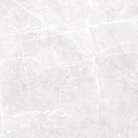 Płytka podłogowa Limone Etnos Silver 119,7x119,7