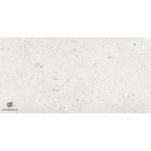 Płytka podłogowa Ego Avorio Nat. Rett. 60x120