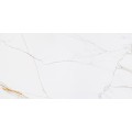 Płytka podłogowa Coriento Gold Poler / Lumax Ormaro Poler 60x120 cm