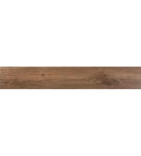 Płytka drewnopodobna Ecoceramic WALKYRIA FRESNO 20X120