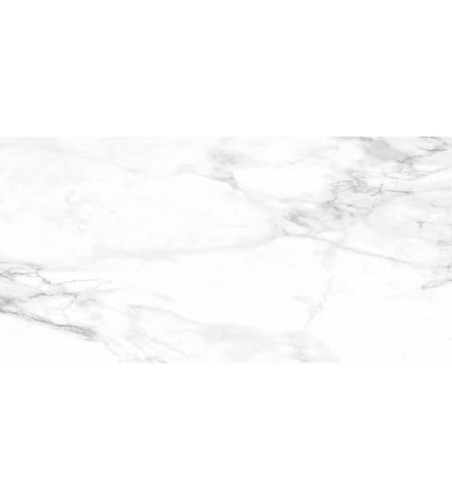 EMIGRES REAL 60X120 LAPPATO