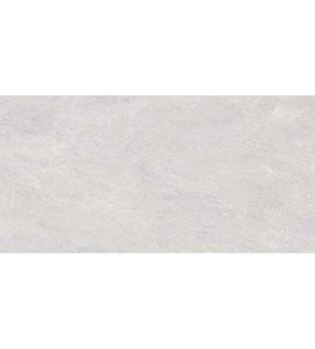 Płytka Emigres TRENTO GRIS 60X120