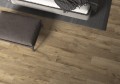 Płytka drewnopodobna Cerrad Guardian Wood Brown 20 x 120 2