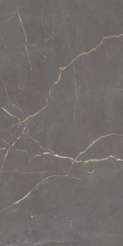 A4H111 ESSENZA ANTHRACITE płytka gresowa z żyłą 59x119cm rektyfikowana, Połysk