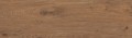 Płytka drewnopodobna Steelwood  Brown 17,x60 3