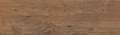 Płytka drewnopodobna Steelwood  Brown 17,x60 4