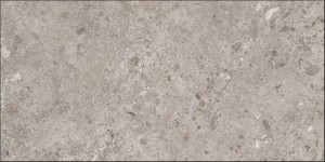 Grespania Bierzo Gris 60x120 cm