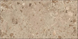 Grespania Bierzo Moka 60x120 cm