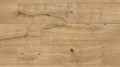 R123.Nutmeg.1210x295.jpg