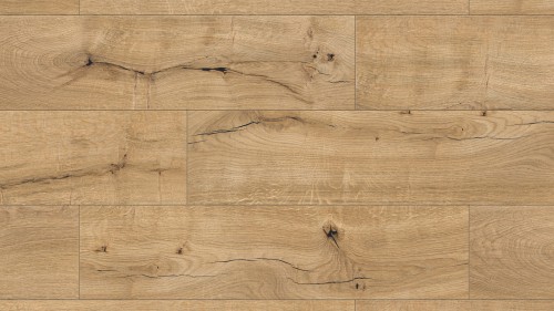 R123.Nutmeg.1210x295.jpg