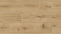 R128.Ascot.1210x295.jpg