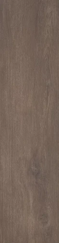 willow.ochra29.5x119.5.webp