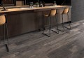 Gres ABK Dolphin Coal 20x120 2