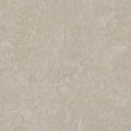 signum.beige.60x60x2.4.jpg
