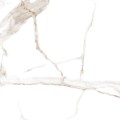 a4893e5f4ddb5c4ab079ee78814d13b5