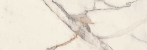 980a19211b262f60e76e9969adb8f524