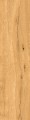 0b0f1f57d12797ab946eba17b14fbdf7