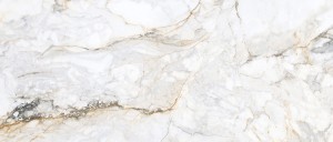 Pisa Gold Lux Pul 60x120 cm