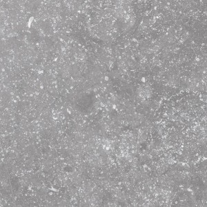 Coralstone Grey 20x20 cm 23570
