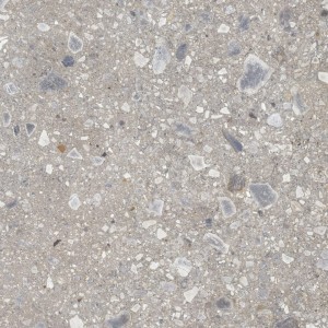 Ceppo Nuovo Silver Poler 1197x1197 cmX6 G.1 Cd