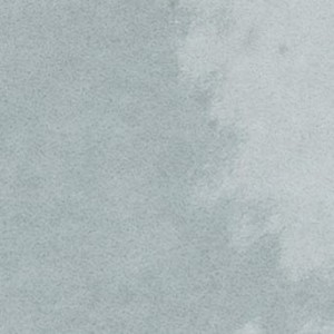 Taco Blue Grass 3,2X3,2 28980