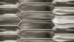 Lanse Silver 5X25Los 27492