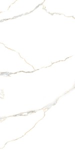 Acothley Gold 60x120 cm Polished .Imp1