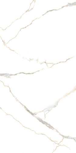 b249b7a6481a91885d74a76de6a94581