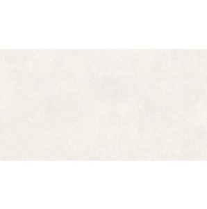 Metropoli Gris 60x120 cm Lappato