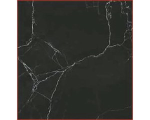 Ecoceramic Saigon Black 120x120 cm Poler