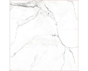 Ecoceramic Saigon White 120x120 cm Poler