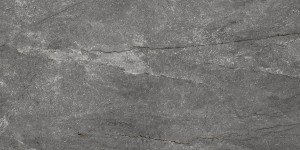 Cr. Wells Ash 60x120 cm Poler