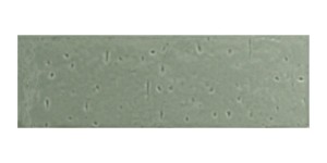 Kalma Blue Lake Matt 6X18,6 30951