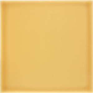 Capsule Dijon 15x15 cm Brillo- 23845 Fb