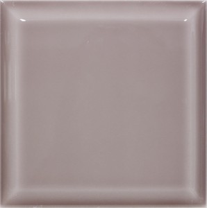 Capsule Powder Rooom Bisel15x15 cm Brillo 23838 Fb