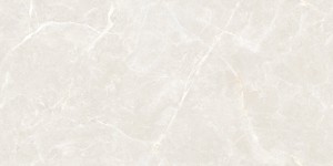 Olivia Silver 60x120 cm Polished .Mib