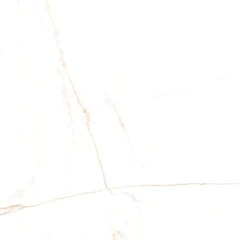 03ac7bc06f551ed305a3717becd11111