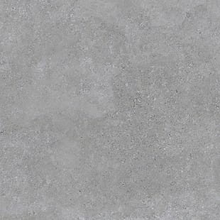 earthtone.2.0.dark.grey.matt.59.3x59.3.jpg