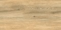 dasco.honey.60x120.2.jpg